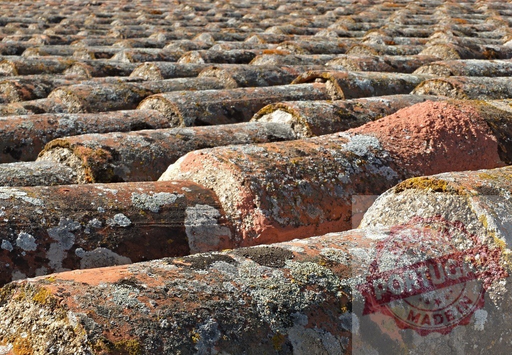 Rustic roof tiles forming textured pattern with moss | Weathered terracotta roof tiles creating a textured pattern with lichen and moss - Realisiert mit Pictrs.com