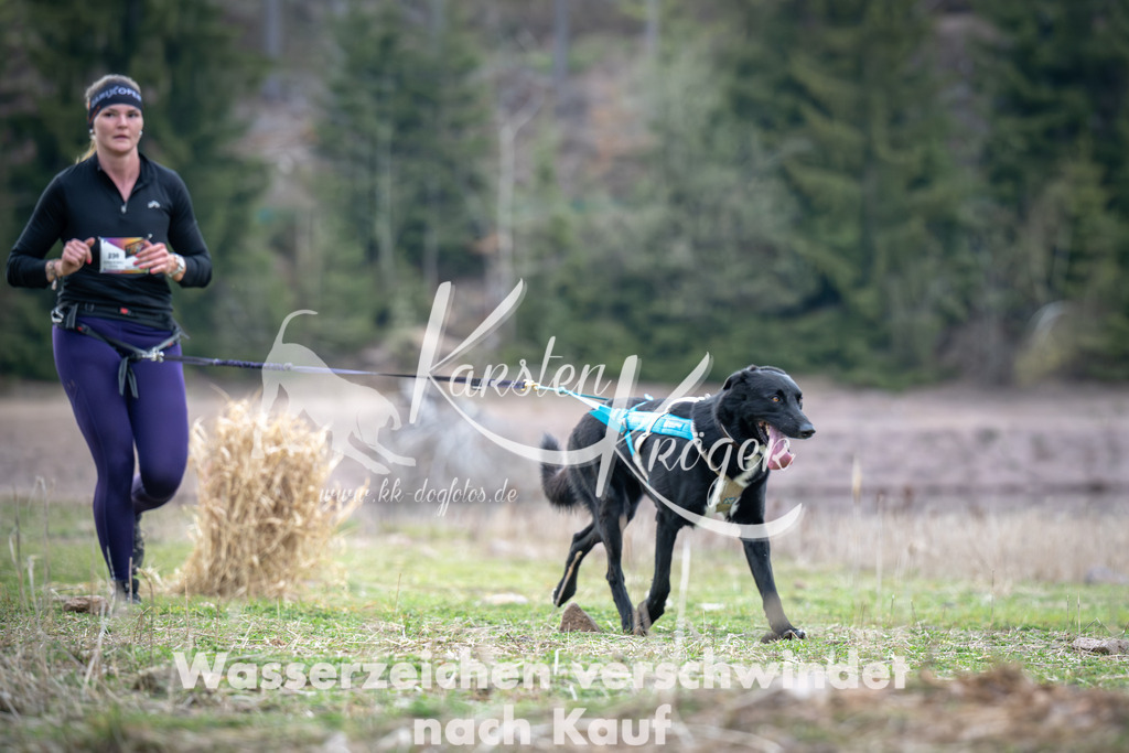 1816_ZZ95153 | kk-dogfotos