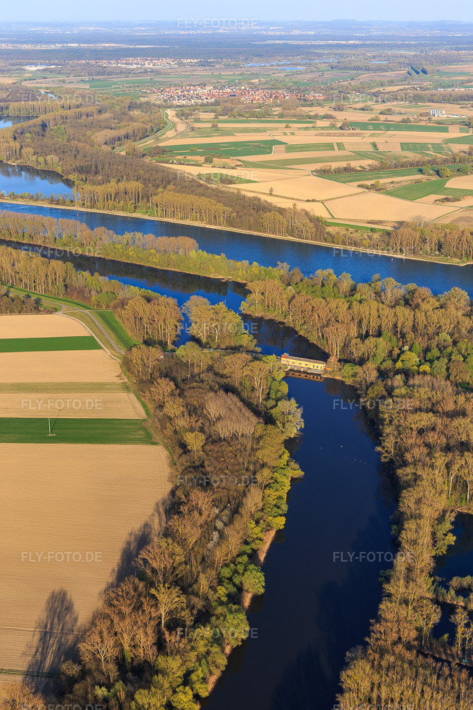 Luftbild: Mündung des Michelsbach in den Rhein am Schöpfwerk Sonderheim Süd im Ortsteil Sondernheim in Germersheim im Bundesland Rheinland-Pfalz in Deutschland. Foto: IMG_097962.jpg vom 30.03.2017 durch Werner Riehm/FLY-FOTO.de
