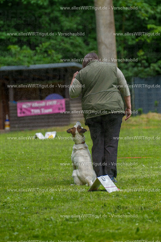 @allesWIRTHgut_Tierfotografie - www.allesWIRTHgut.de - 7R504295 | Professionelle Tierfotografie in Mönchengladbach von Daniel Wirth (allesWIRTHgut). Liebevolle & natürliche Bilder von Hunden & Katzen für unvergessliche Erinnerungen.