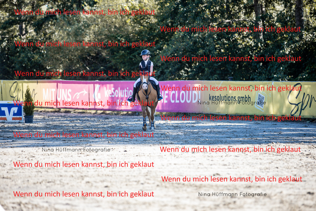 BK1A8056 | Turnierbilder Turnierfotos Nina Hüffmann Turnierfotografie Pferdefotografie Tierzeichnung Haustierzeichnung Pferdezeichnung Hundezeichnung Videograf  - Realisiert mit Pictrs.com