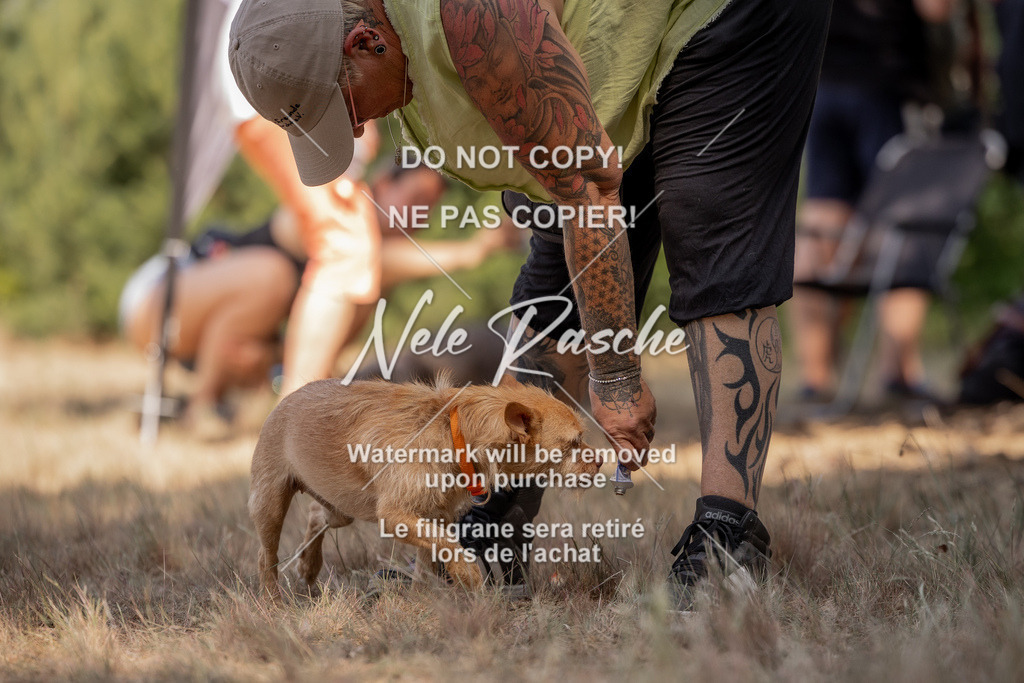nelerasche_soDD2_39 | nelerasche