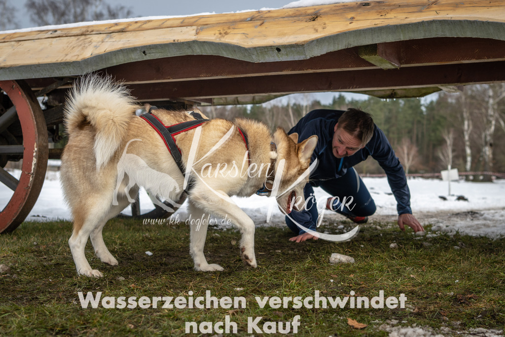0934_ZZ90864 | kk-dogfotos