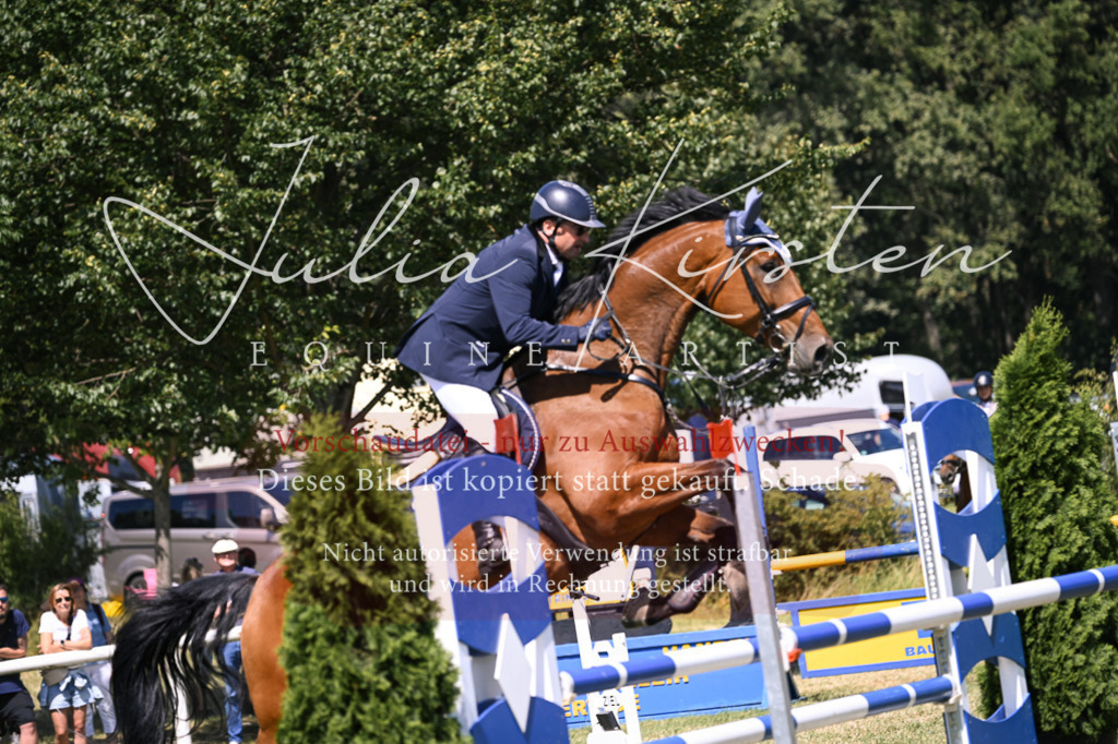 DSC_0198 | Pferde- und Turnierfotografie in Westsachsen. Pferdeportraits, Auftragszeichnungen und intuitive Kunst.
