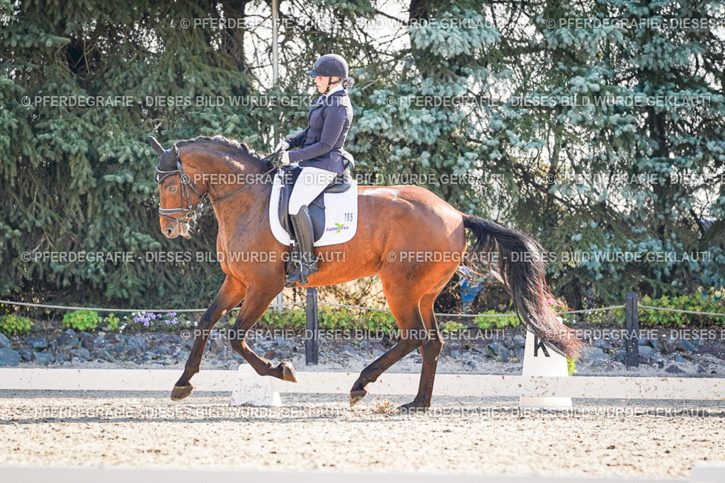 DSC09698 | Pferdegrafie