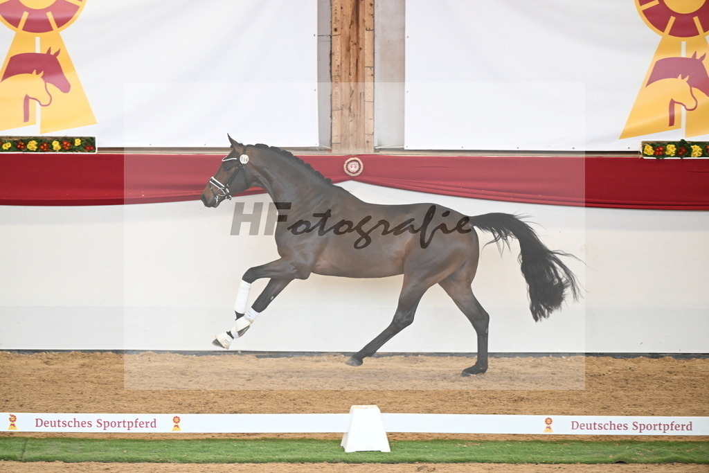 Kat.-Nr. 64 v. Fürst Zonik PS_Raedecke_2250559 | hf-fotografie - Realisiert mit Pictrs.com
