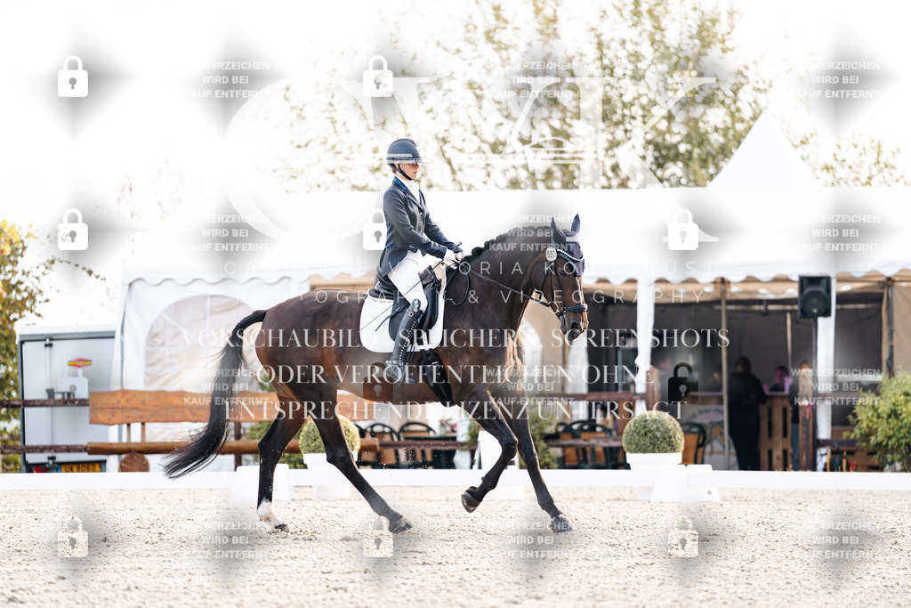 CK900406 | Turnierfotografie Pferdefotografie Trier Rheinland-Pfalz Pferdesport Reitsport Tierfotografie Sportfotografie Pferdevideo Pferdevideografie Equestrianvideography equestrianphotography  - Realisiert mit Pictrs.com