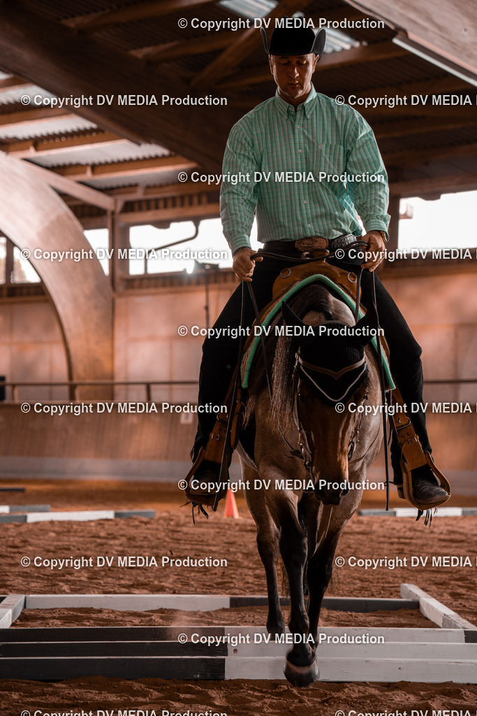 NE300014 | dv-media-shop - Realisiert mit Pictrs.com