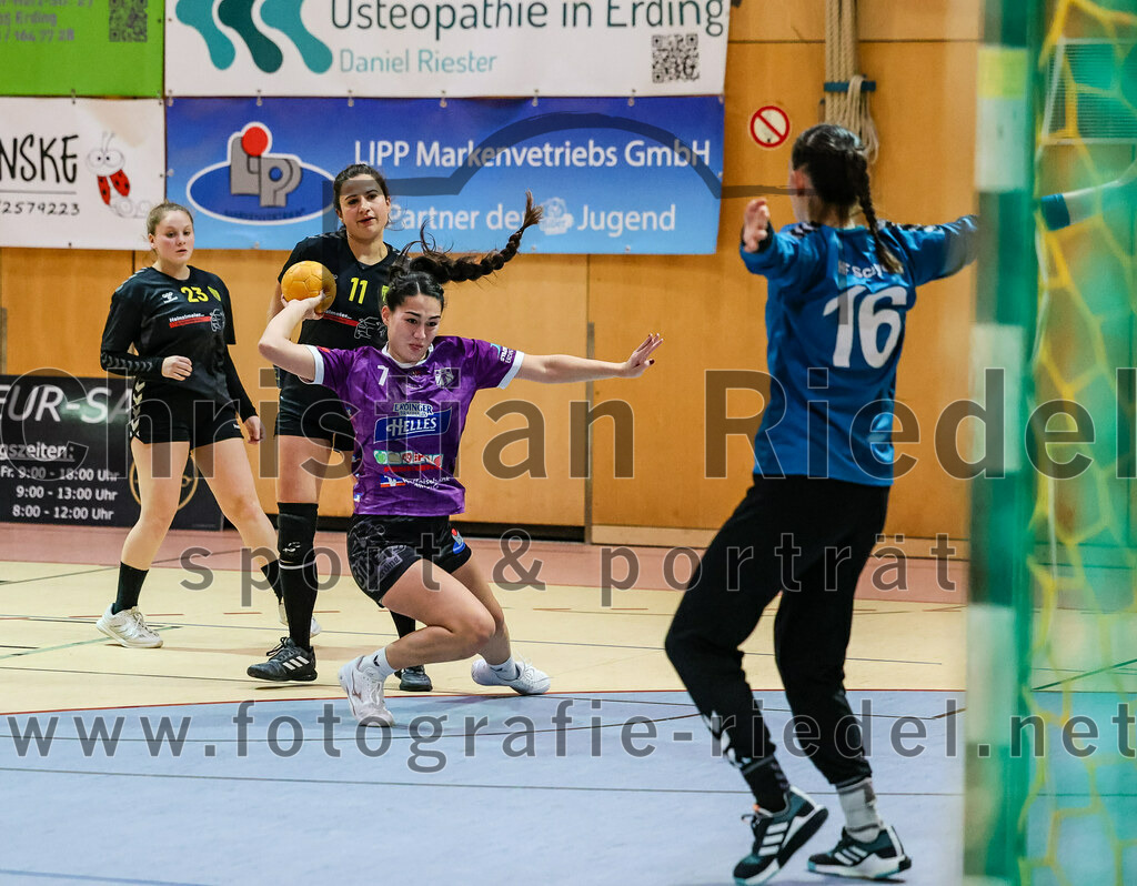 2023-12-17_022_SpVgg_Altenerding_II_gegen_HF_Scheyern | Erding, Deutschland, 17.12.2023:
Handball, Bezirksliga Frauen Altbayern 2023 / 2024, 9. Spieltag, SpVgg Altenerding II gegen HF Scheyern, Endergebnis: 22:26

Melissa Ruscitti (HF Scheyern, #23), Lieselotte Landskron (HF Scheyern, #11), Michelle Gruber (SpVgg Altenerding, #7), Torfrau Karolin Kollmar (HF Scheyern, #16)

Foto: Christian Riedel / fotografie-riedel.net