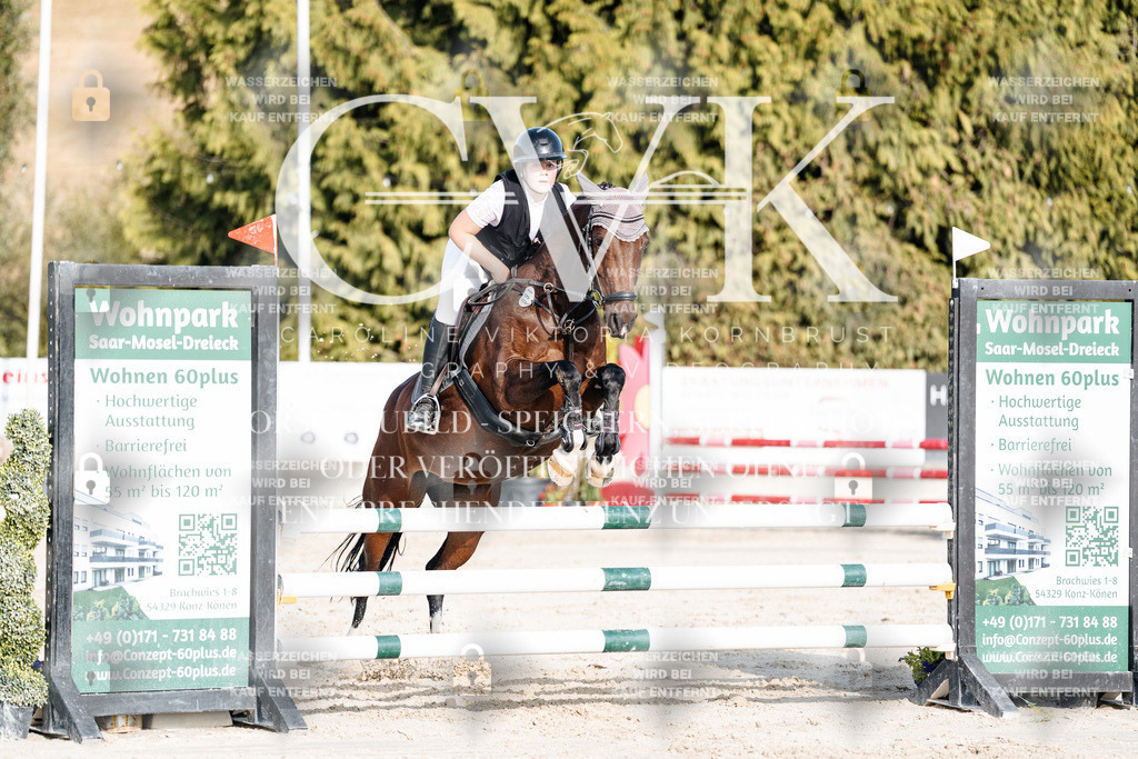 CK909573 | Turnierfotografie Pferdefotografie Trier Rheinland-Pfalz Pferdesport Reitsport Tierfotografie Sportfotografie Pferdevideo Pferdevideografie Equestrianvideography equestrianphotography  - Realisiert mit Pictrs.com