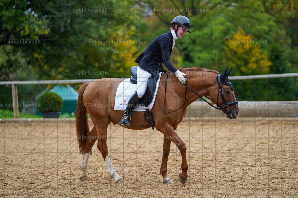 20221008-FAH01870 | Diessen am Ammersee, 2022, Dressur- und Springturnier, Reitsportbilder, Turnierfotografen Bayern, Pferdefotografen, Fotoagentur Herrmann, Turnierbilder