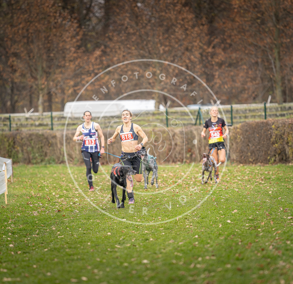 CaniXpix_DV3A6198 | Hundefotografie, Tierfotograf, Pfotenfotografie, Fotoshooting Hund, Hunde Portrait, Hundesport, Hundeportraits, Heideshooting, Hunde, Sportfotograf, Hundefotograf, Turnierhundsport, THS,  - Realisiert mit Pictrs.com