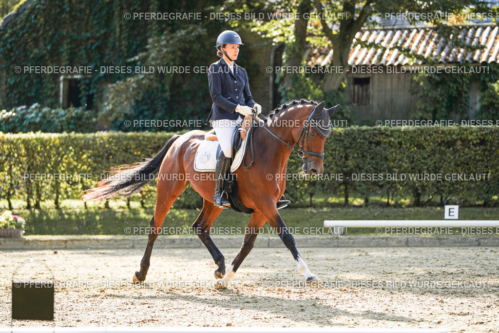 DSC06730 | Pferdegrafie