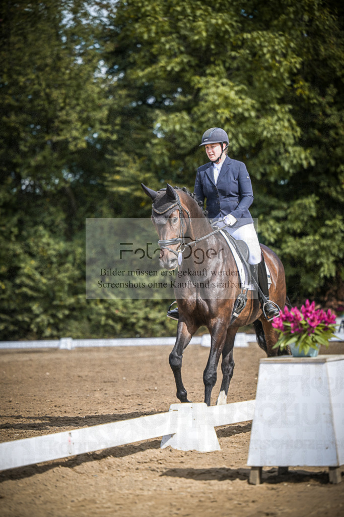 DOS_4320 | Entdecke hochwertige Reitturnierfotos von Foto Oger. Professionell, emotional und authentisch – jetzt Lieblingsmomente im Shop bestellen.Deutschlandweite Turnierfotografie. - Realisiert mit Pictrs.com