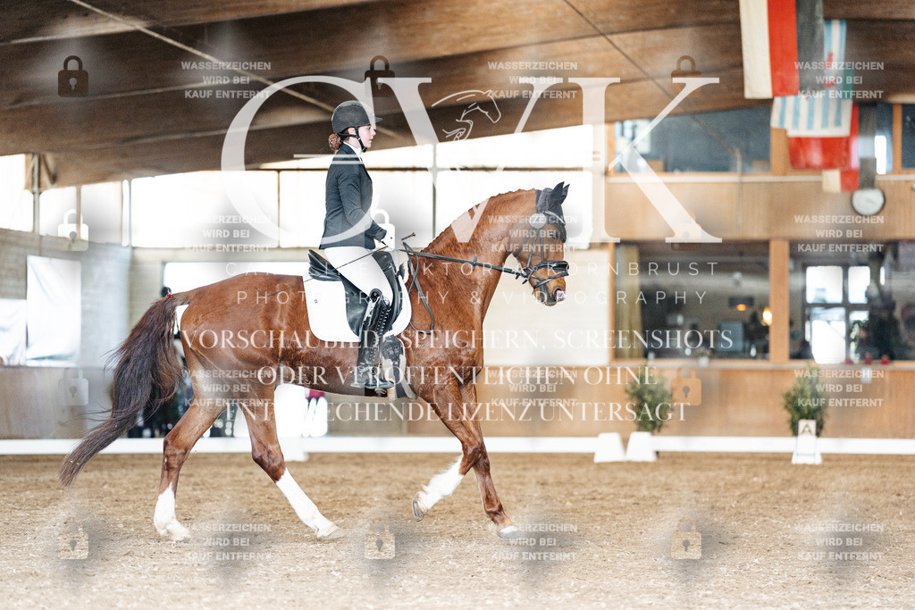 CK901737 | Turnierfotografie Pferdefotografie Trier Rheinland-Pfalz Pferdesport Reitsport Tierfotografie Sportfotografie Pferdevideo Pferdevideografie Equestrianvideography equestrianphotography  - Realisiert mit Pictrs.com