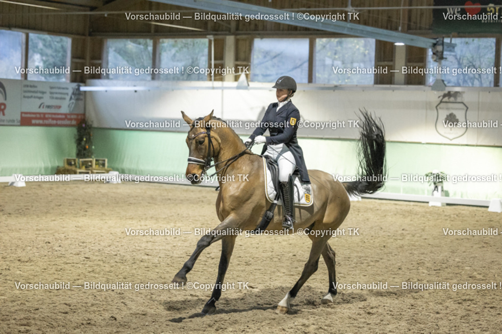 _D5A7204 | Emotionale Pferde- & People-Fotografie rund um Heidelberg, Leimen & Umgebung. Natürliche Fotos von Pferd, Mensch & Familie. Jetzt Termin sichern!