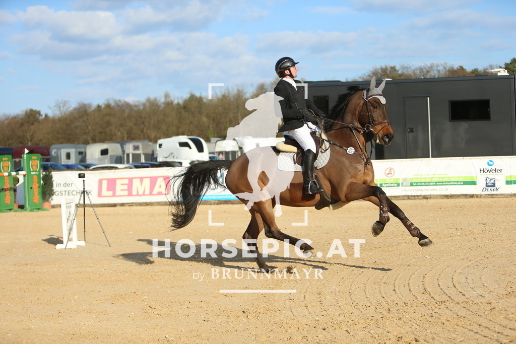 DL2Q1243 | Willkommen bei Brunnmayr - Design & Fotografie – Ihrem Spezialisten für Reitturniere und Pferdeveranstaltungen in Oberösterreich, Salzburg und Bayern! Seit über 17 Jahren sind wir leidenschaftlich dabei.