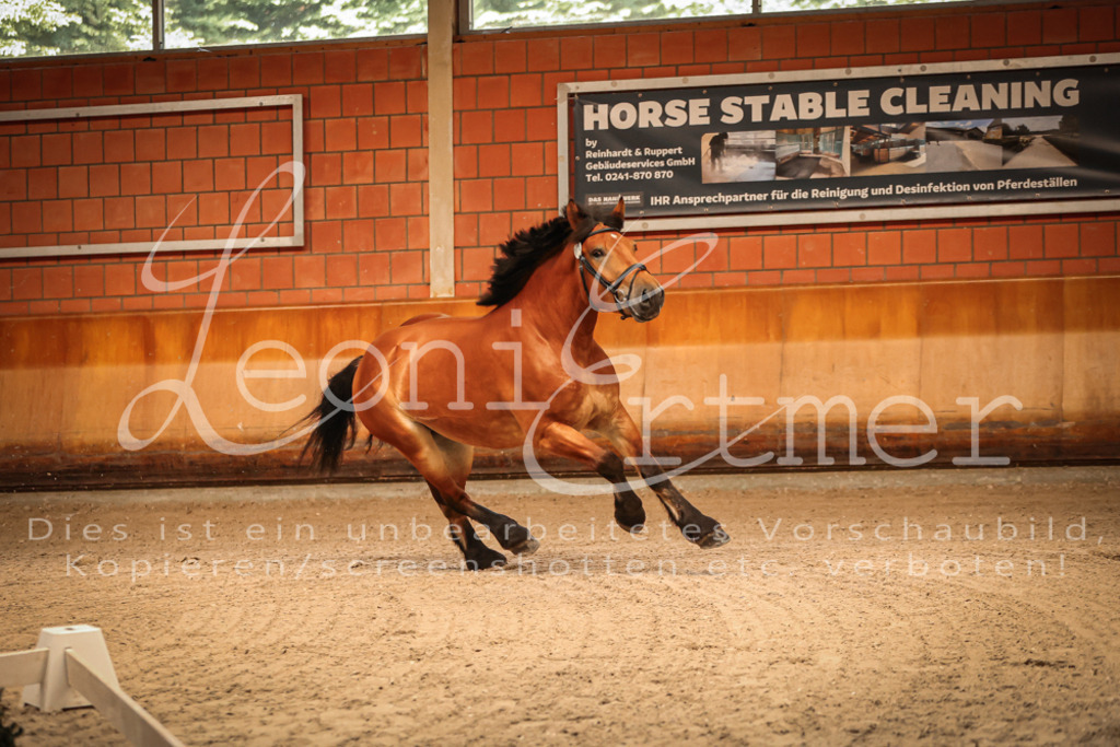 SaFL00018 | Leoni Ertmer Photography - Realisiert mit Pictrs.com