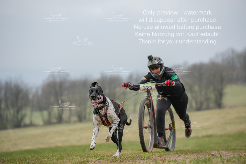 ScooterSA-121 | stephaniefillaphotographie - Realisiert mit Pictrs.com