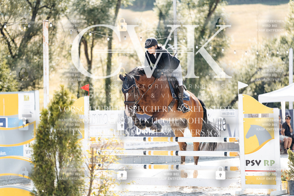 CK907746 | Turnierfotografie Pferdefotografie Trier Rheinland-Pfalz Pferdesport Reitsport Tierfotografie Sportfotografie Pferdevideo Pferdevideografie Equestrianvideography equestrianphotography  - Realisiert mit Pictrs.com