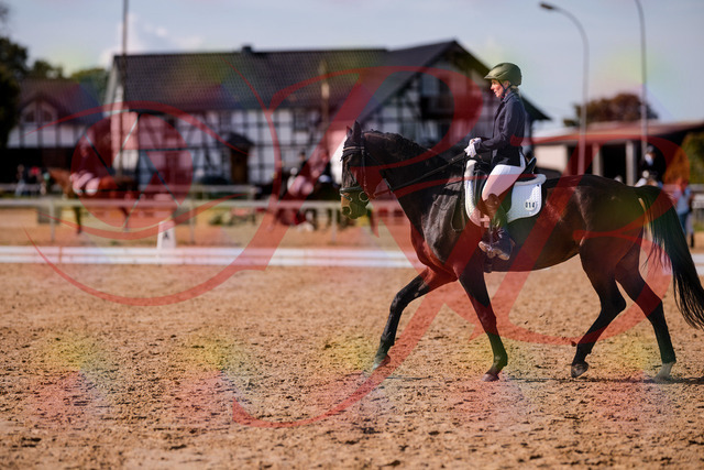 2026_10_03_Siefer-Hof_133851_Z81_97831924 | Professionelle Reitsport-, Turnier- und Eventfotografie von Robert Broda. Galerien mit ausgewählten und bearbeiteten Bildern direkt online ansehen und bestellen.