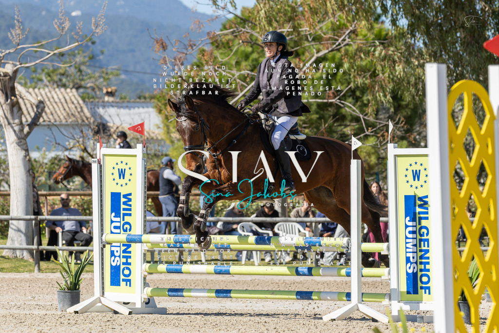 IMG_9858 | s-jay-photography - Realisiert mit Pictrs.com