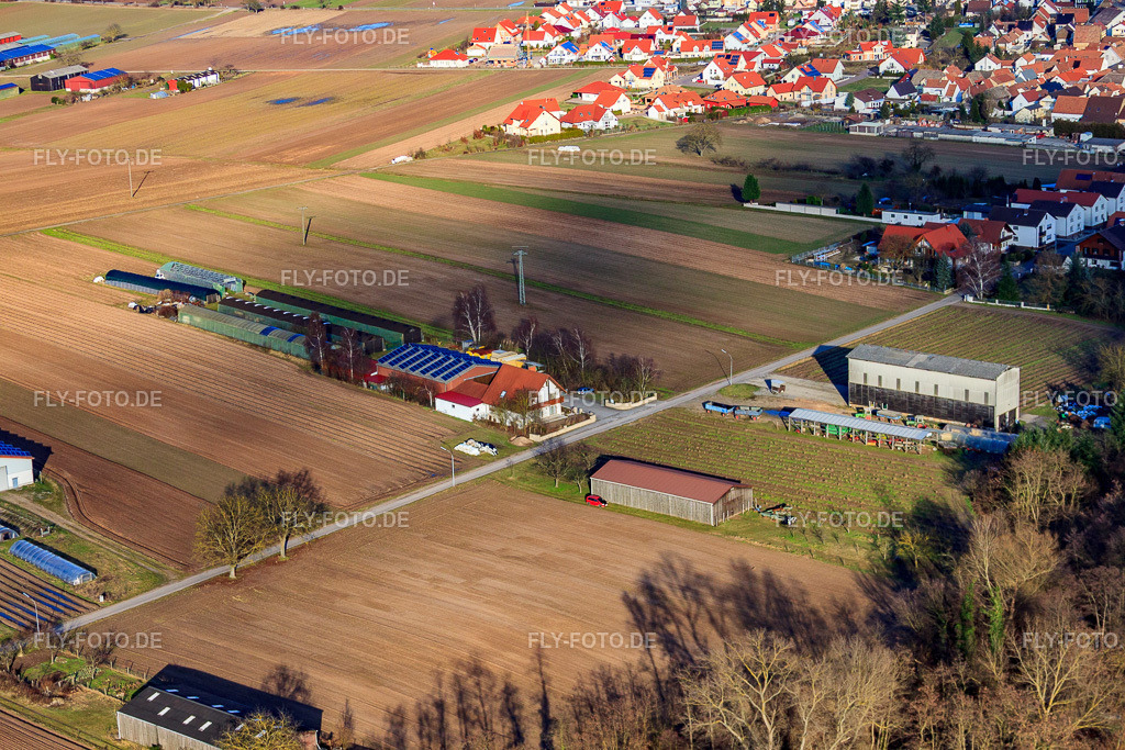 Aussiedlerhöfe am Mühlweg | Luftbild: Aussiedlerhöfe am Mühlweg in Hördt im Bundesland Rheinland-Pfalz in Deutschland. Foto: IMG_37072.jpg vom 22.01.2011 durch Werner Riehm/FLY-FOTO.de - Realisiert mit Pictrs.com