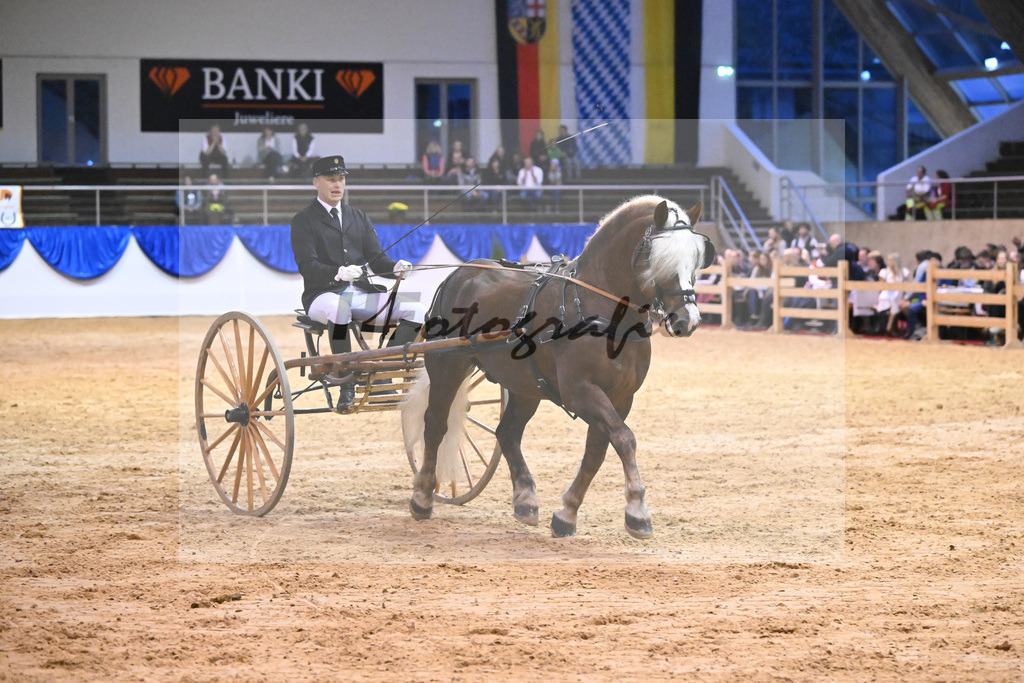 Schauprogramm_54222505 | hf-fotografie - Realisiert mit Pictrs.com