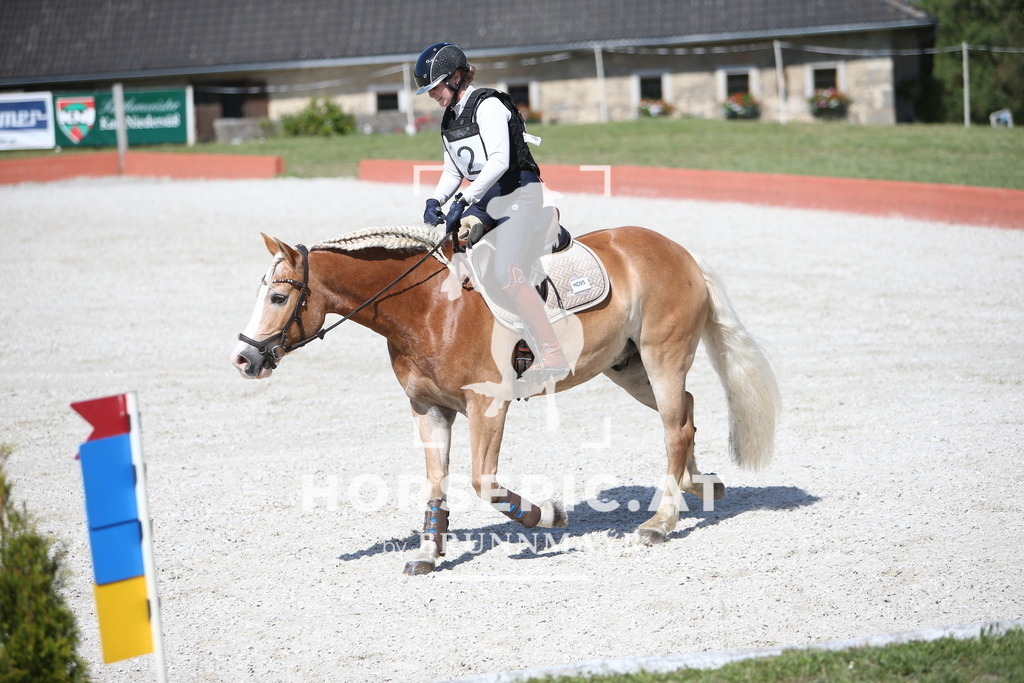 PP013538 | Willkommen bei Brunnmayr - Design & Fotografie – Ihrem Spezialisten für Reitturniere und Pferdeveranstaltungen in Oberösterreich, Salzburg und Bayern! Seit über 17 Jahren sind wir leidenschaftlich dabei.