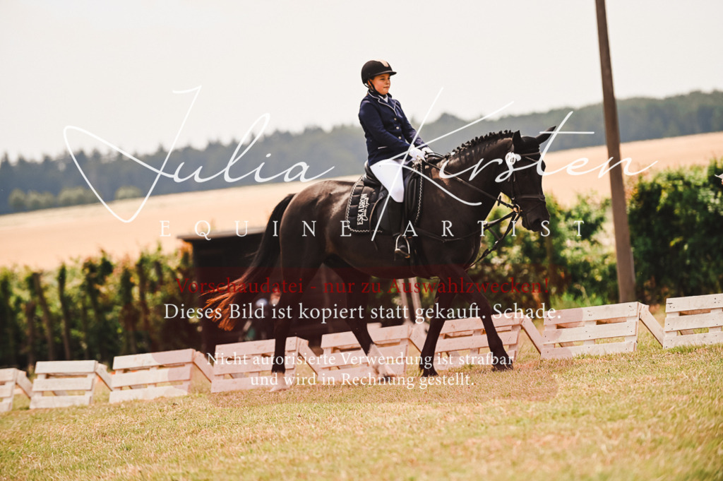 DSC_6347 | Pferde- und Turnierfotografie in Westsachsen. Pferdeportraits, Auftragszeichnungen und intuitive Kunst.