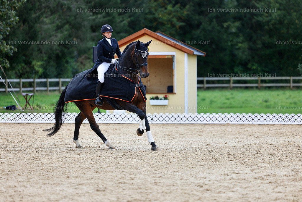 6-Siegerehrung-AMATUER-DRESSUR S_  -StoibPH-3660 | working equitationturnier fotograf videograf stoibphotography marixx film working equitation deutschland reitsport turnierfotografie eventfotografie equestrian events