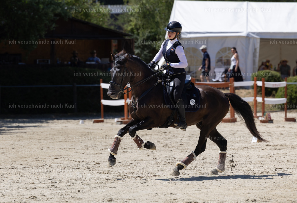 WM_Speed_Junioren_48_KerstinBernhardt-6 | working equitationturnier fotograf videograf stoibphotography marixx film working equitation deutschland reitsport turnierfotografie eventfotografie equestrian events
