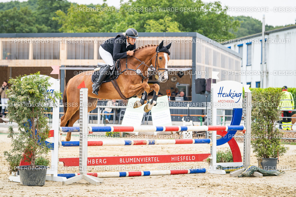 DSC00168 | Pferdegrafie