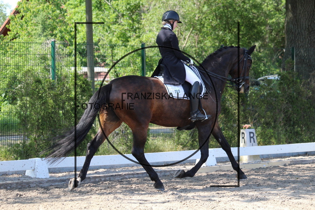 IMG_4942 | franziskalange - Realisiert mit Pictrs.com