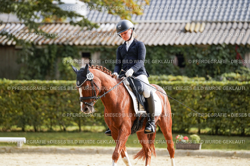 DSC04123 | Pferdegrafie