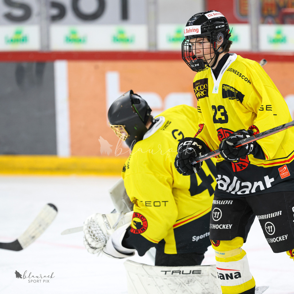 EHC Biel-Bienne vs SC Bern - 22. December 2024 | EHC Biel-Bienne vs SC BernTissot Arena, Biel-BienneBild: Waltraud Blaurock | Blaurock Pix