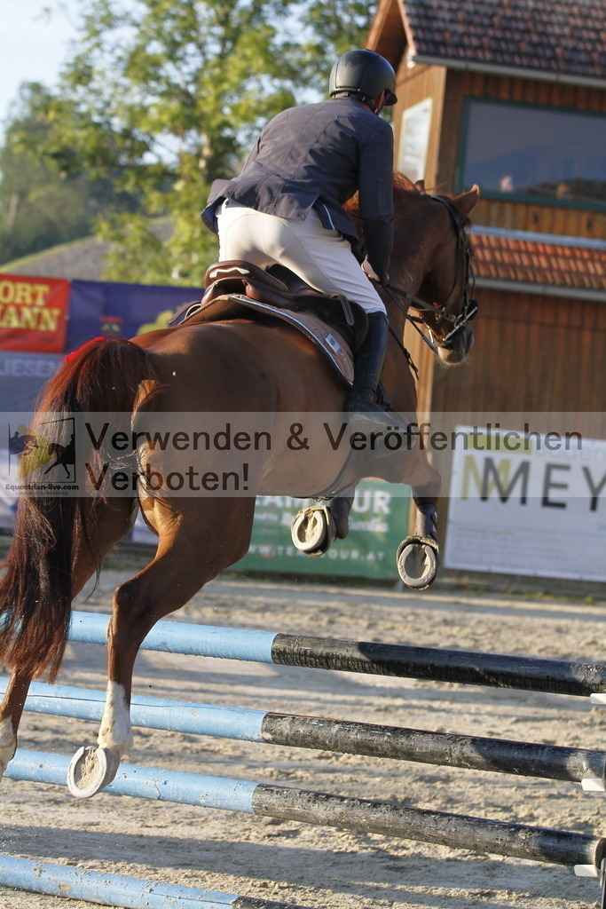 _MG_6995 | equestrian-live-com