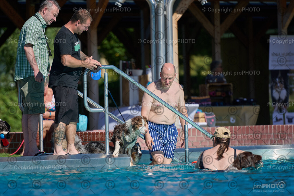 093_202509_4Hundebadetag_NZ9_2386 | proPHOTO - Realisiert mit Pictrs.com