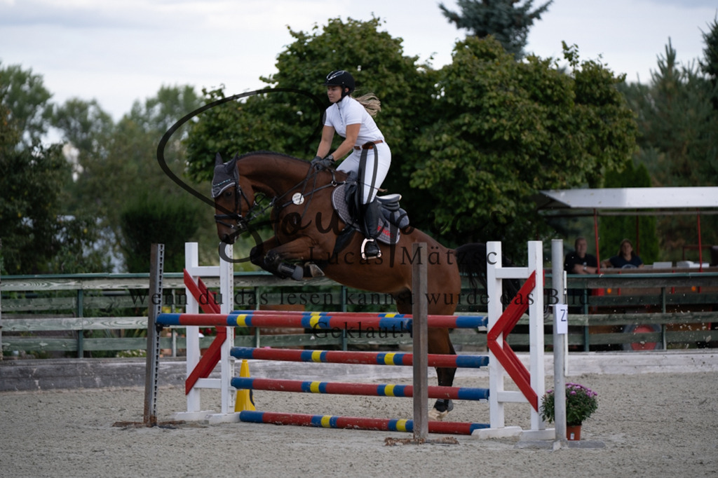 A7V07776 | Turnier/Reitfotograf
