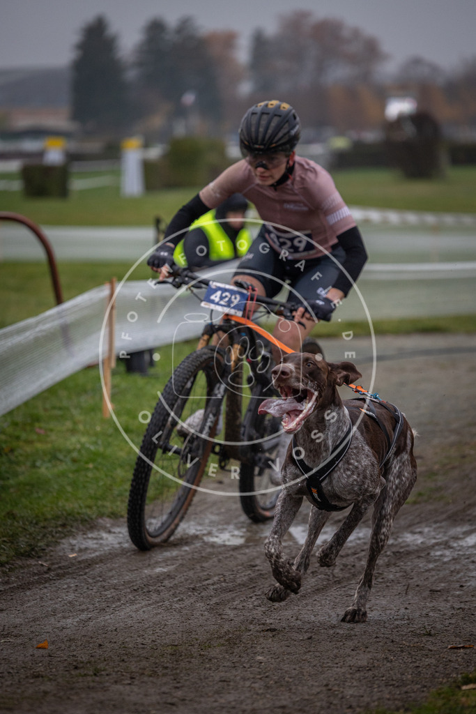 CaniXpix_0L8A1131 | Hundefotografie, Tierfotograf, Pfotenfotografie, Fotoshooting Hund, Hunde Portrait, Hundesport, Hundeportraits, Heideshooting, Hunde, Sportfotograf, Hundefotograf, Turnierhundsport, THS,  - Realisiert mit Pictrs.com