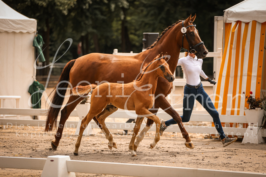 SaPA00045 | Leoni Ertmer Photography - Realisiert mit Pictrs.com