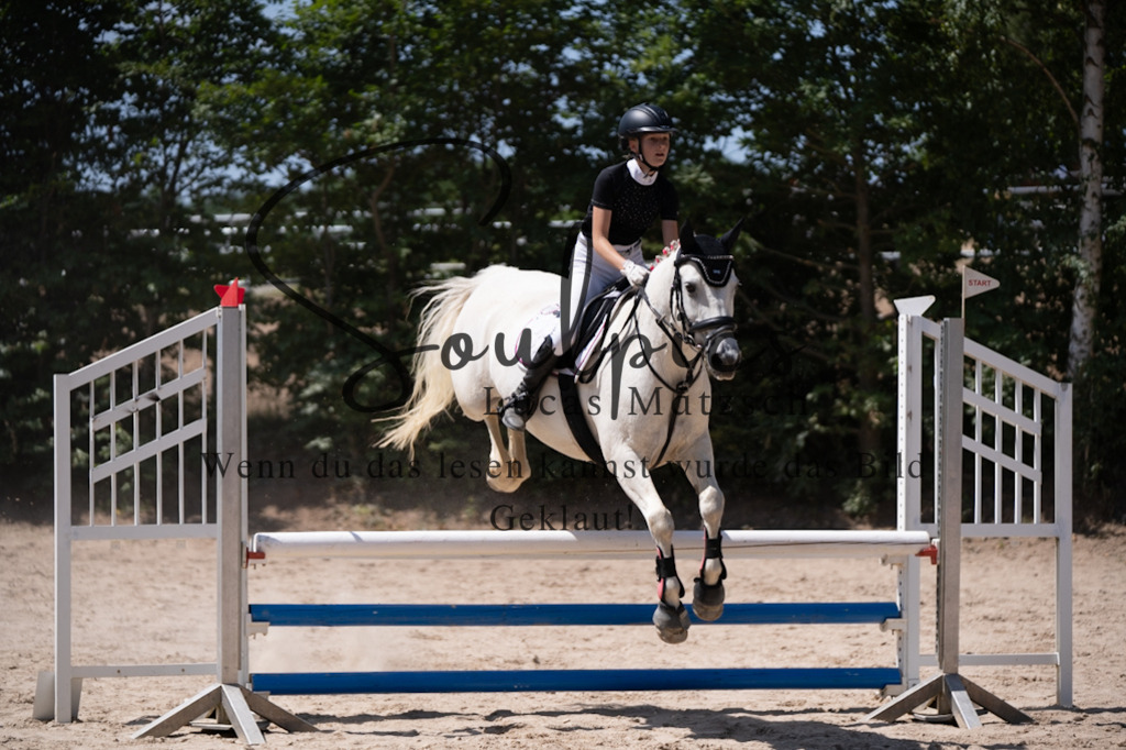 A7V08469 | Pferdefotograf