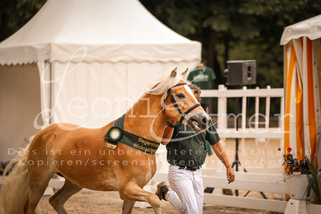 06.So00179 | Leoni Ertmer Photography - Realisiert mit Pictrs.com