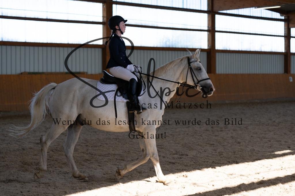 A7V02183 | Turnier/Reitfotograf