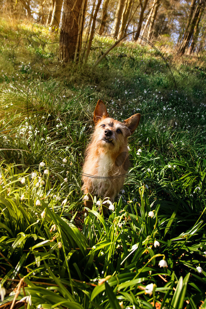 IMG_2446 | only.this.little.world - Realisiert mit Pictrs.com