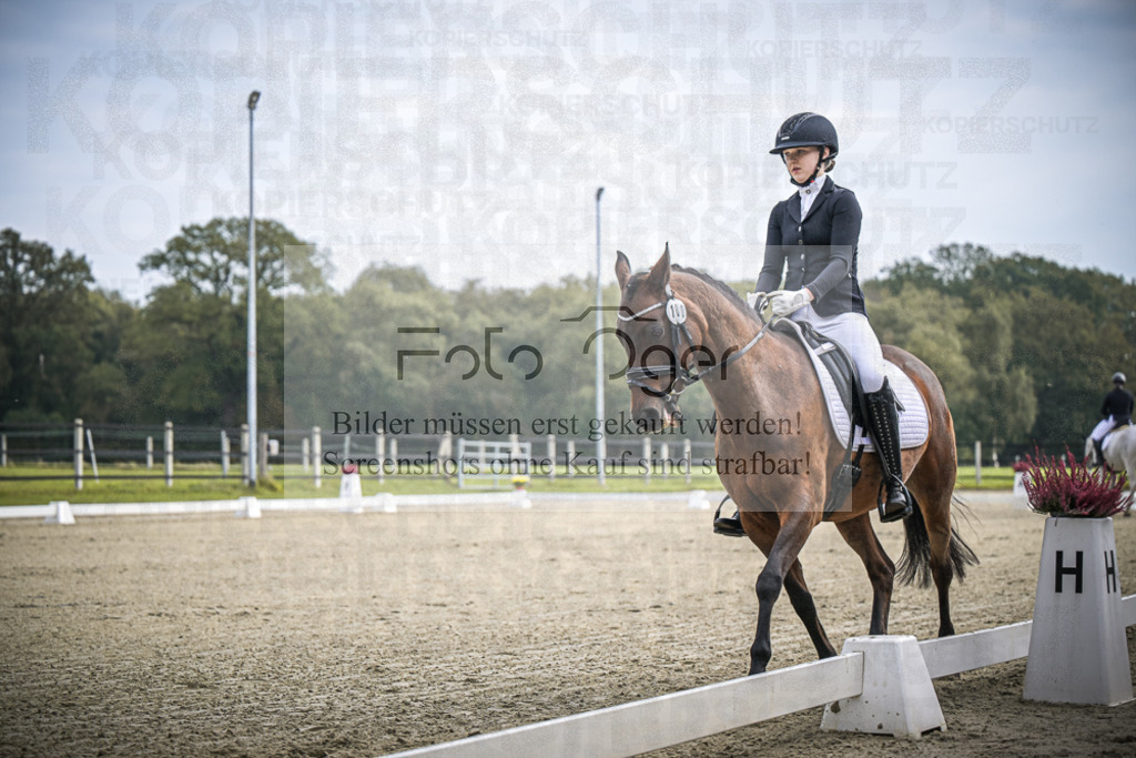 DOS_B447 | Entdecke hochwertige Reitturnierfotos von Foto Oger. Professionell, emotional und authentisch – jetzt Lieblingsmomente im Shop bestellen.Deutschlandweite Turnierfotografie. - Realisiert mit Pictrs.com