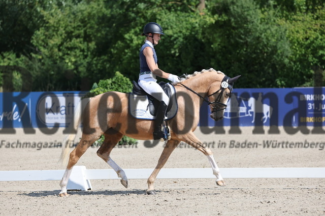 Weilheim_2025_Prfg.Nr.26_Pony-Reitpferdeprüfung_Yvonne Lommel_Niemandsland B (4) | Alle Fotos der Reiterjournal Fotografin Doris Matthaes im Reiterjournal Online-Fotoshop. - Realisiert mit Pictrs.com