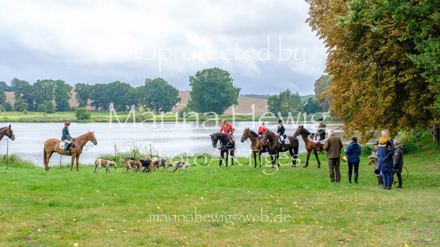 Jagd Kletkamp 26-9607_MarinaHewig | Fotografie, FotoArt, PferdesportArt, Pferdesportfotografie, Landschaftsfotografie, Reisefotografie, Reise, Pferde - Realisiert mit Pictrs.com