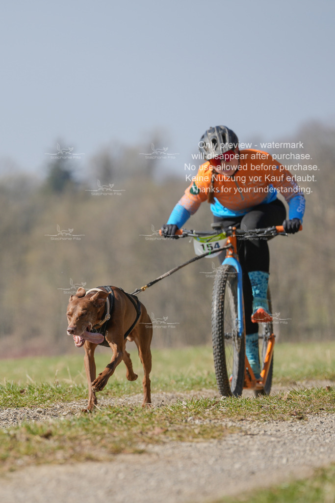 Scooter_Lang-87 | stephaniefillaphotographie - Realisiert mit Pictrs.com