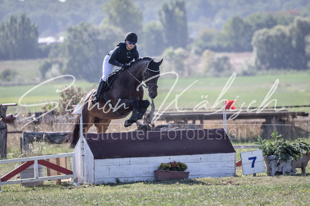 20260906-_3LI2333 | Tierfotografie Pferde, Hunde, Katzen, Haustiere.
Turnierfotografie Reitturniere, Reiten, Springreiten, Dressur in Hanau, dem Main-Kinzig-Kreis und dem Rhein-Main- Gebiet um Frankfurt